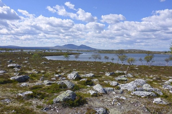 Mer informasjon om "Tur i Femundsmarka 2017"