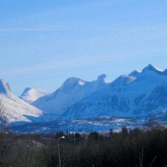 Fjellløp