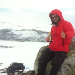 Det lange seige draget