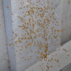 Mikkel Fjällräven Frederiksen