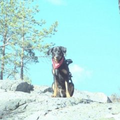 HovslagerHolen Vest Torpa