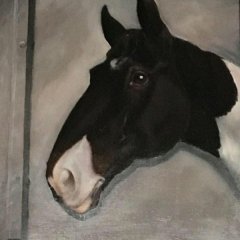 John Martin Johansen