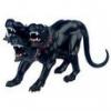 Cerberus