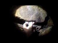 videothumb_1447262096.thumb.png.cce0efc9