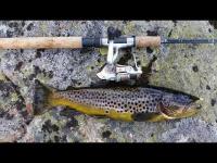 videothumb_1465312644.thumb.png.7620e339