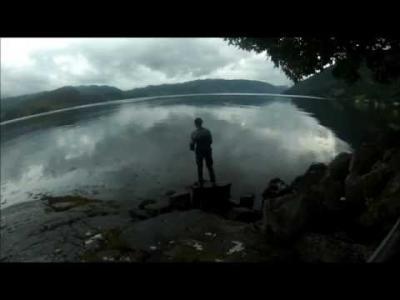 videothumb_1469962774.thumb.png.89065568