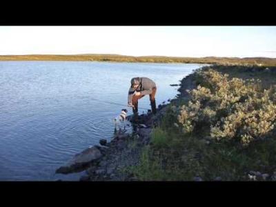 videothumb_1475625983.thumb.png.dc571dfe