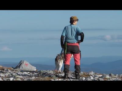 videothumb_1476866201.thumb.png.f1e631e9