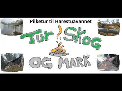 videothumb_1486969841.thumb.png.d5d09df2